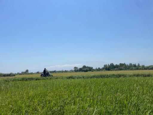 چافجیر