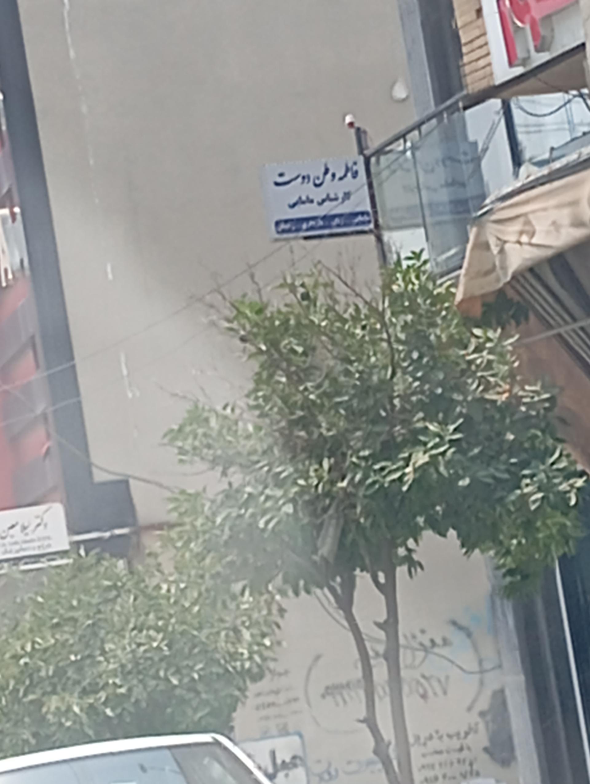 عکس فاطمه وطن دوست کارشناس مامایی
