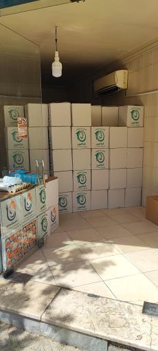 عکس پخش تخم‌مرغ فلامینگو 