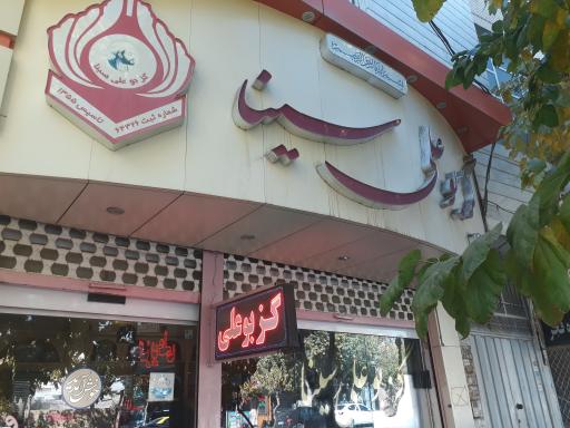 عکس گز بوعلی سینا