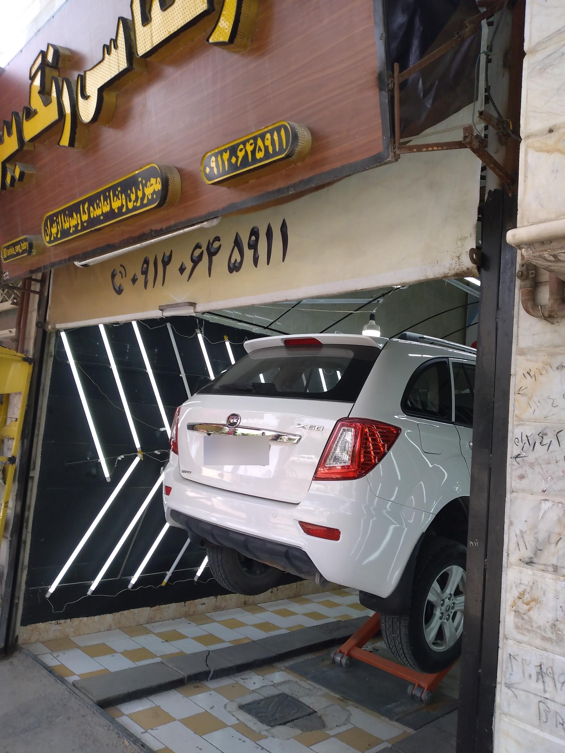 عکس کارشناسی رنگ ببری 