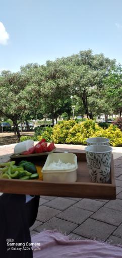 عکس پارک بزرگ نصرت