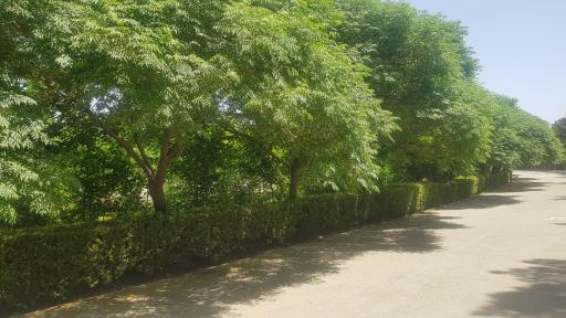 عکس پارک بزرگ نصرت