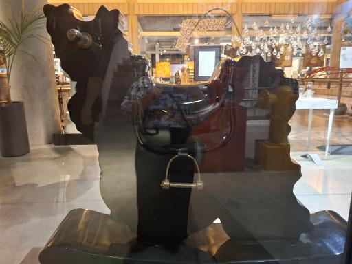 عکس موزه دیدی