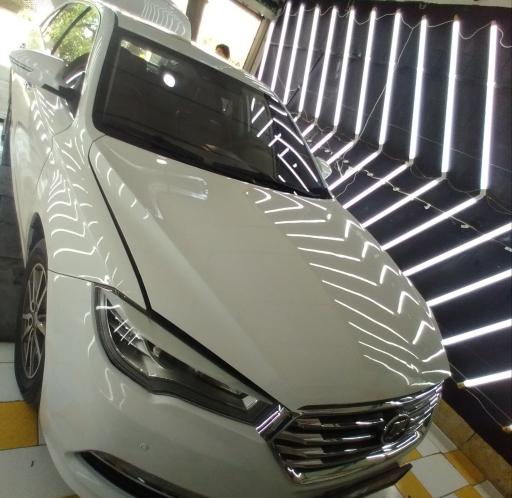 عکس کارشناسی رنگ ببری 