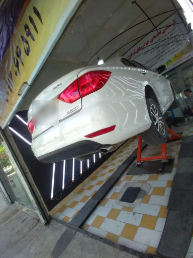 عکس کارشناسی رنگ ببری 