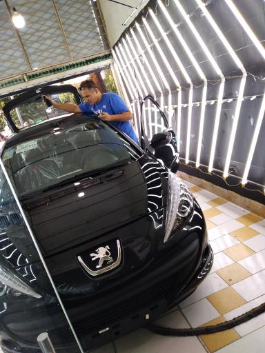 عکس کارشناسی رنگ ببری 