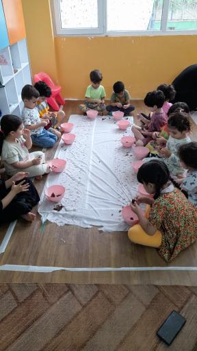 عکس خانه بازی نبات