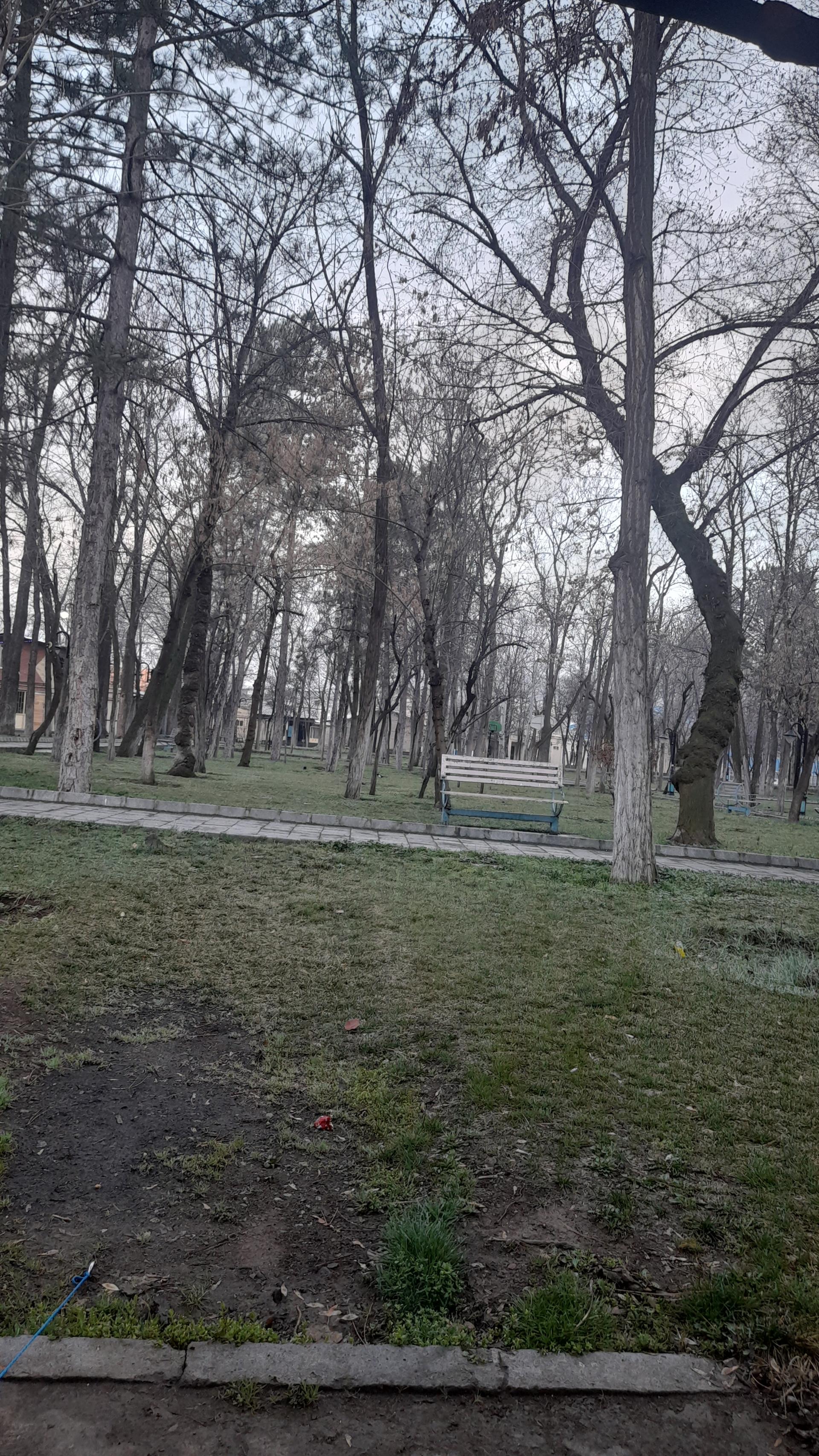 عکس پارک مولوی کرد