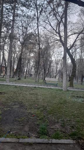 عکس پارک مولوی کرد