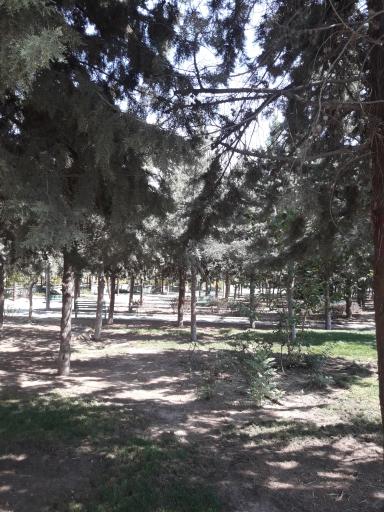 عکس بوستان اخلاص