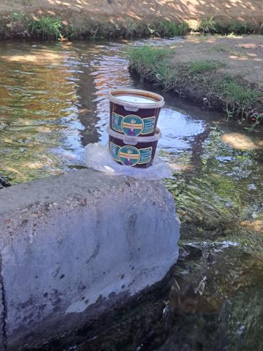 عکس سمنو خانگی پناهی