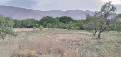 عکس اراضی و باغ های جنگاه