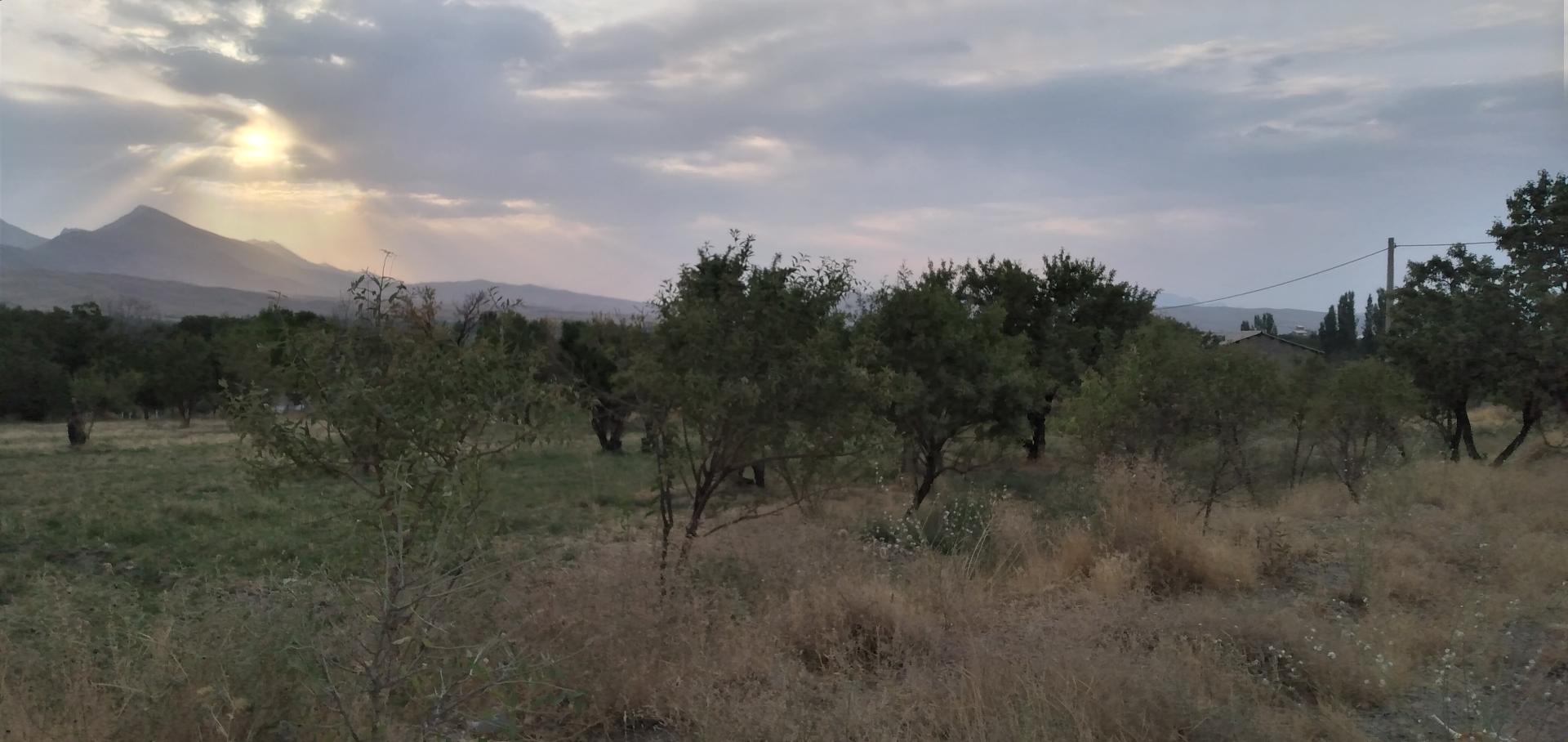 عکس اراضی و باغ های جنگاه