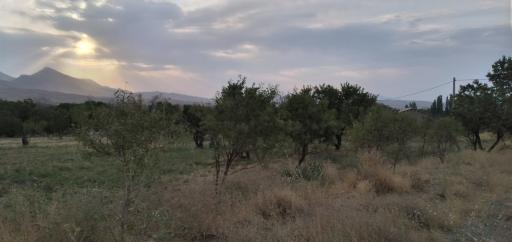 عکس اراضی و باغ های جنگاه