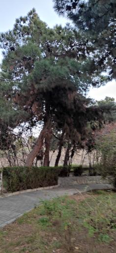 عکس بوستان مسافر