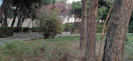 عکس بوستان مسافر