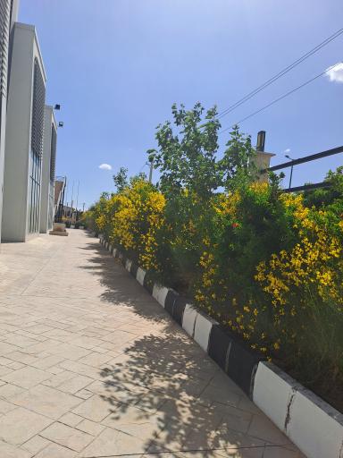 عکس صنایع آرایشی و بهداشتی آواتیس