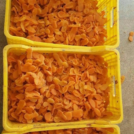 عکس خشکبار آلوچه زردالو آلبالو قیسی گردو