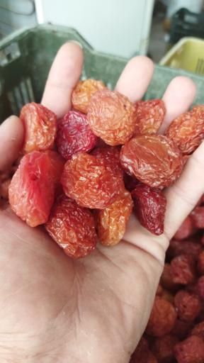 عکس خشکبار آلوچه زردالو آلبالو قیسی گردو