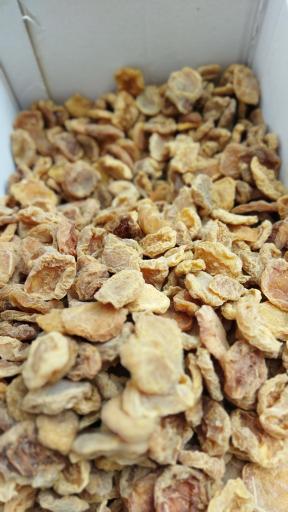 عکس خشکبار آلوچه زردالو آلبالو قیسی گردو