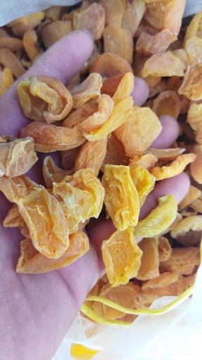 عکس خشکبار آلوچه زردالو آلبالو قیسی گردو