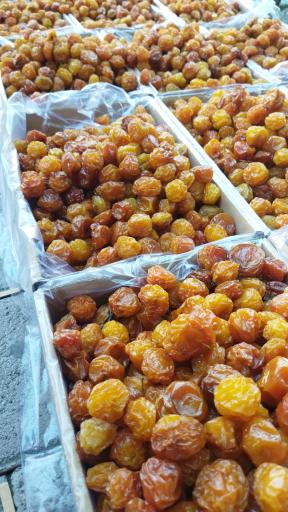 عکس خشکبار آلوچه زردالو آلبالو قیسی گردو