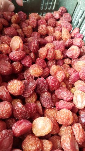 عکس خشکبار آلوچه زردالو آلبالو قیسی گردو