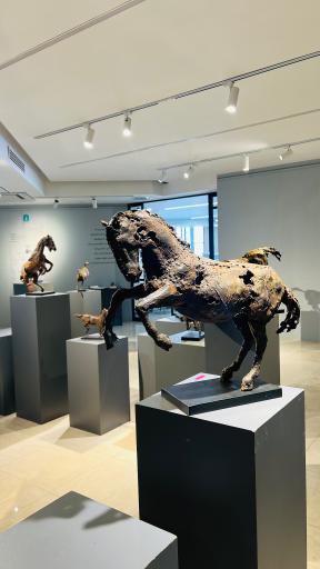 عکس کتاب سرو