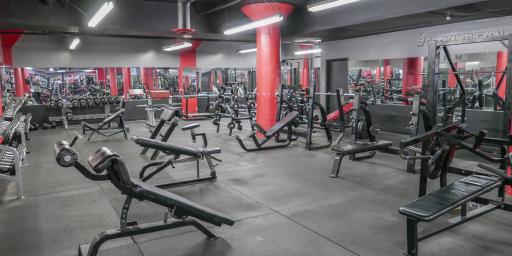عکس باشگاه بدنسازی رئال پلاس 