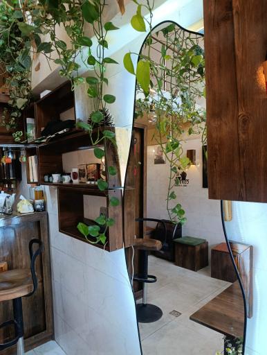عکس cafe raash