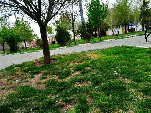 عکس پارک فضیلت