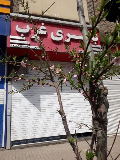 عکس باطری فروشی غرب نیکوکار