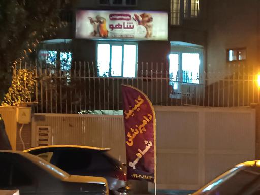 کلینیک دامپزشکی شاهو
