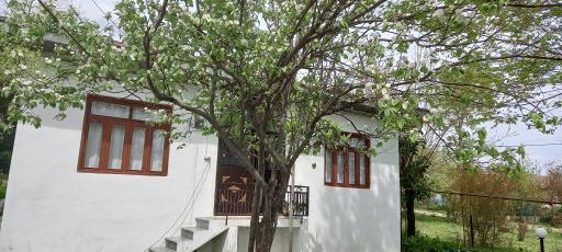 عکس ویلای اجاره ای شکوری