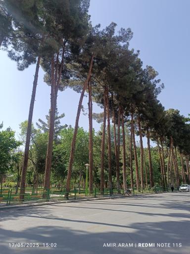 عکس پارک لاله