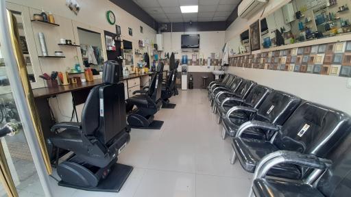 عکس پیرایش برگ سبز