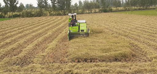 عکس بازرگانی برنج سید قاسم حسینی و برادران 