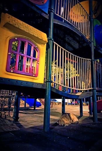 عکس پارک برادران نویری