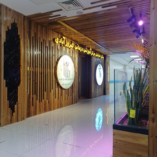 عکس بیمارستان تخصصی و فوق تخصصی فیروزآبادی