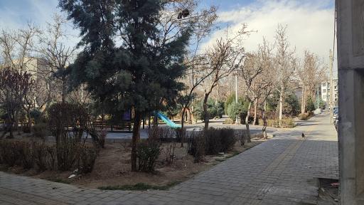 عکس بوستان جاوید