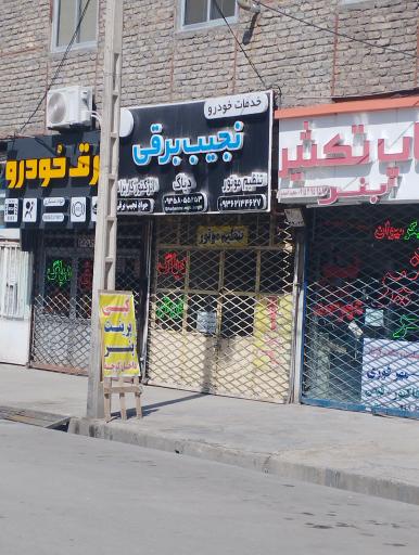 عکس نجیب برقی