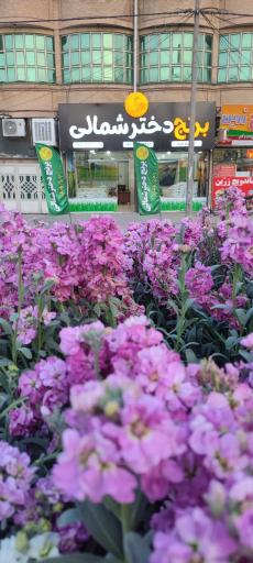 عکس برنج فروشی دختر شمالی