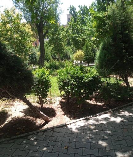 عکس بوستان جاوید