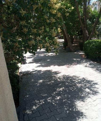 عکس بوستان جاوید