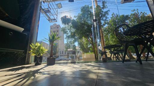 عکس کافه شاتینو