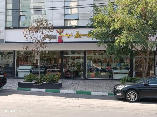 عکس گالری موسیقی نیما