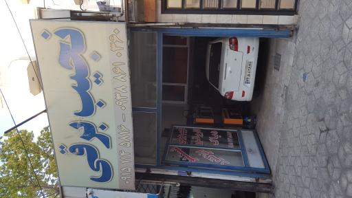 عکس نجیب برقی