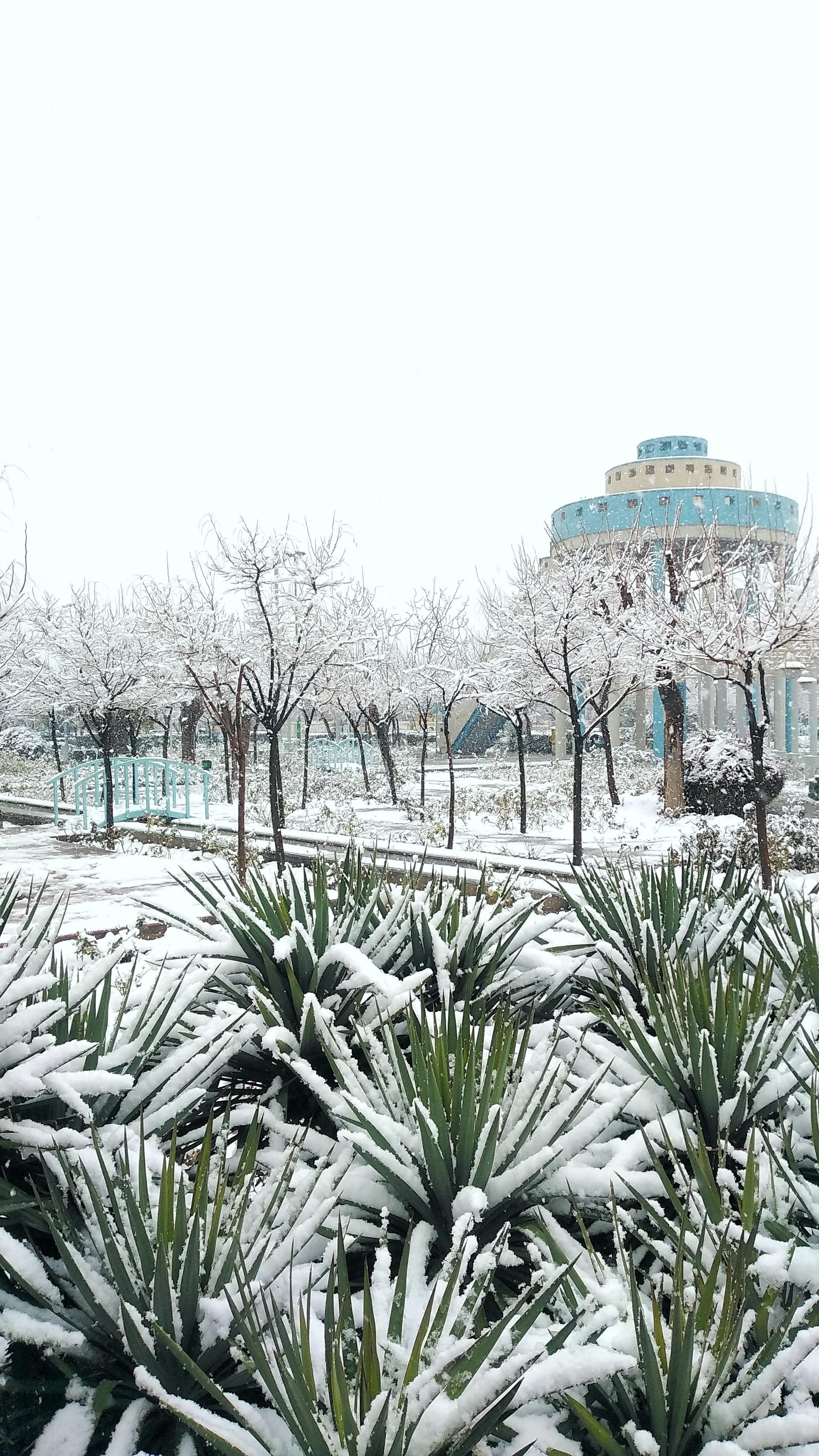 عکس درب شرقی پارک رازی