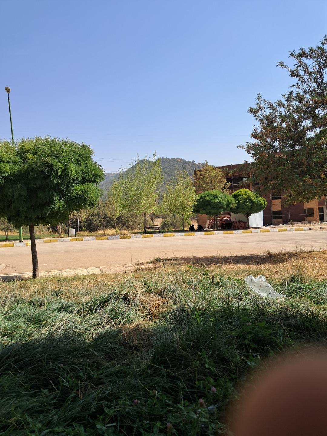 عکس مجتمع گردشگری لاله